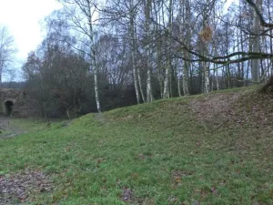Dražba louky, Cvikov, 1017 m2