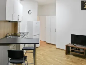 Pronájem bytu 1+kk, Praha - Libeň, Lihovarská, 25 m2