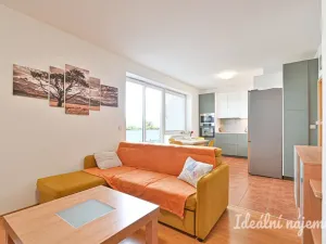 Pronájem bytu 3+kk, Brno, Říčanská, 81 m2