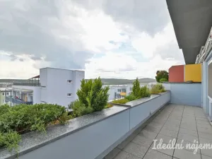 Pronájem bytu 3+kk, Brno, Říčanská, 81 m2