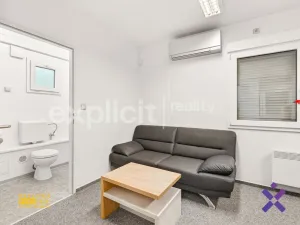Prodej obchodního prostoru, Biskupice, 4600 m2