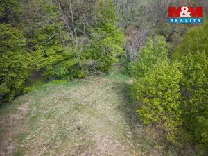 Prodej lesa, Trhové Dušníky, 909 m2