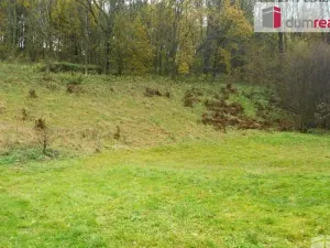 Prodej pozemku pro bydlení, Petrovice, 10000 m2