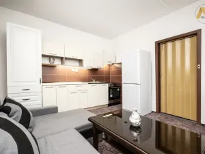 Pronájem bytu 1+1, Písek - Pražské Předměstí, Přemyslova, 42 m2