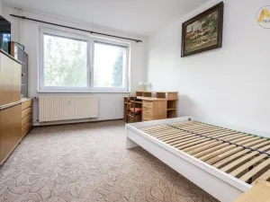 Pronájem bytu 1+1, Písek - Pražské Předměstí, Přemyslova, 42 m2