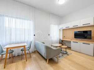 Pronájem bytu 2+kk, Praha - Karlín, Pobřežní, 32 m2
