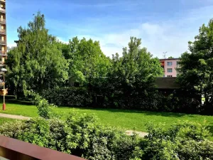 Prodej bytu 2+kk, Hořice, Pod Lipou, 43 m2