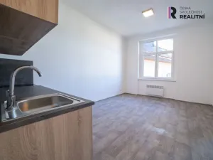 Pronájem bytu 1+1, Sokolov, Nádražní, 42 m2