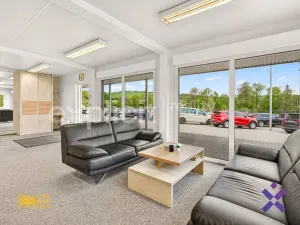 Prodej komerčního pozemku, Biskupice, 4600 m2