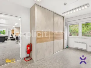 Prodej komerčního pozemku, Biskupice, 4600 m2