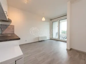 Pronájem bytu 2+kk, Praha - Žižkov, Olgy Havlové, 43 m2