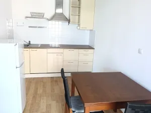 Pronájem bytu 1+kk, Praha, Freiwaldova, 37 m2
