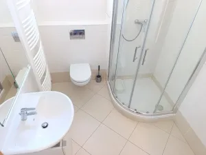 Pronájem bytu 1+kk, Praha, Freiwaldova, 37 m2