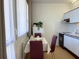 Pronájem bytu 2+1, Plzeň, Toužimská, 46 m2