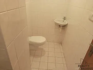 Pronájem bytu 1+kk, Praha, Lumiérů, 57 m2