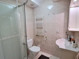 Pronájem bytu 4+1, Brno - Královo Pole, Skácelova, 171 m2