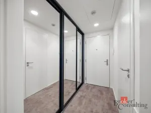 Pronájem bytu 1+kk, Praha - Žižkov, Tetauerova, 29 m2