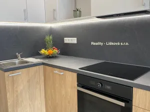 Pronájem bytu 1+kk, Ústí nad Labem - Střekov, Žukovova, 41 m2