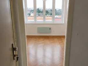 Pronájem bytu 1+kk, Brno, Palackého třída, 30 m2