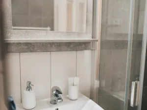 Pronájem bytu 1+kk, Brno, Palackého třída, 30 m2