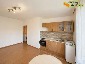 Pronájem bytu 1+kk, Ostrava, Krakovská, 27 m2