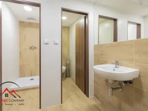 Pronájem bytu 1+kk, Ostrava, Cihelní, 19 m2