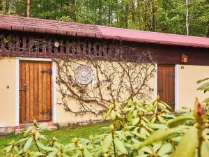Prodej chalupy, Vítězná, 100 m2