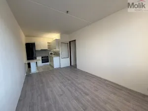 Prodej bytu 2+kk, Most, M. J. Husa, 40 m2