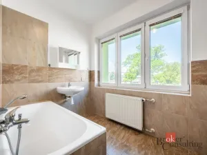 Prodej bytu 1+1, Ostrava - Přívoz, Palackého, 45 m2