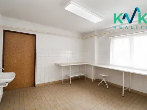 Prodej výrobních prostor, Toužim, Karlovarská, 185 m2