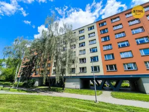 Prodej bytu 2+1, Karviná, tř. 17. listopadu, 55 m2