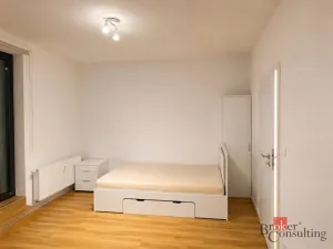 Pronájem bytu 1+kk, Opava - Kateřinky, Rolnická, 35 m2