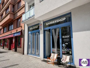 Prodej obchodního prostoru, Praha, Wuchterlova, 142 m2