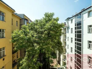 Pronájem bytu 3+1, Praha - Nové Město, Dřevná, 108 m2