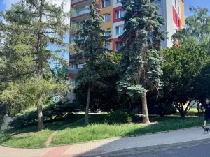 Pronájem bytu 2+kk, Bílina, Tylova, 40 m2