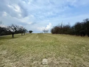 Prodej louky, Cetkovice, 5478 m2