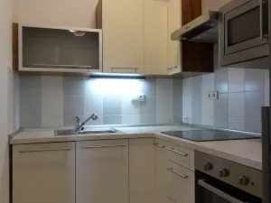Pronájem bytu 1+kk, Postřelmov, Komenského, 32 m2
