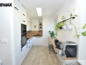 Pronájem bytu 3+kk, Olomouc - Nová Ulice, Wolkerova, 63 m2