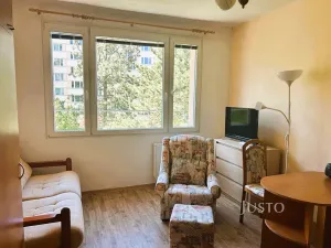 Pronájem bytu 1+kk, Písek, 17. listopadu, 19 m2