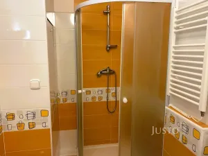 Pronájem bytu 1+kk, Písek, 17. listopadu, 19 m2