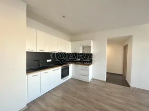 Pronájem bytu 2+kk, Plzeň - Východní Předměstí, Papírnická, 60 m2