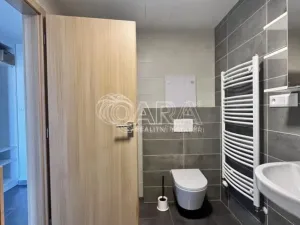 Pronájem bytu 2+kk, Plzeň - Východní Předměstí, Papírnická, 60 m2