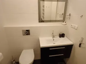 Pronájem bytu 1+kk, Praha - Podolí, Brabcova, 44 m2