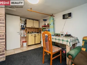 Prodej rodinného domu, Tábor, Pod Cihelnou, 159 m2