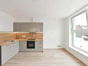 Pronájem bytu 2+kk, Benešov, Tyršova, 55 m2