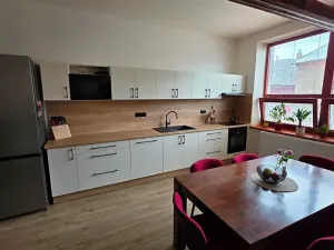 Prodej apartmánu, Ostrava, Zengrova, 397 m2