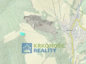 Prodej pozemku, Černý Důl - Čistá v Krkonoších, 4617 m2