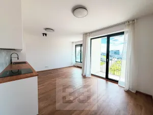 Pronájem bytu 1+kk, Plzeň, Železná, 34 m2