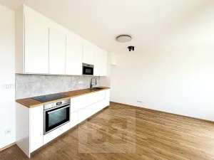 Pronájem bytu 1+kk, Plzeň, Železná, 34 m2