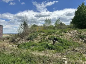 Prodej komerčního pozemku, Boršov nad Vltavou, Šumavská, 3633 m2